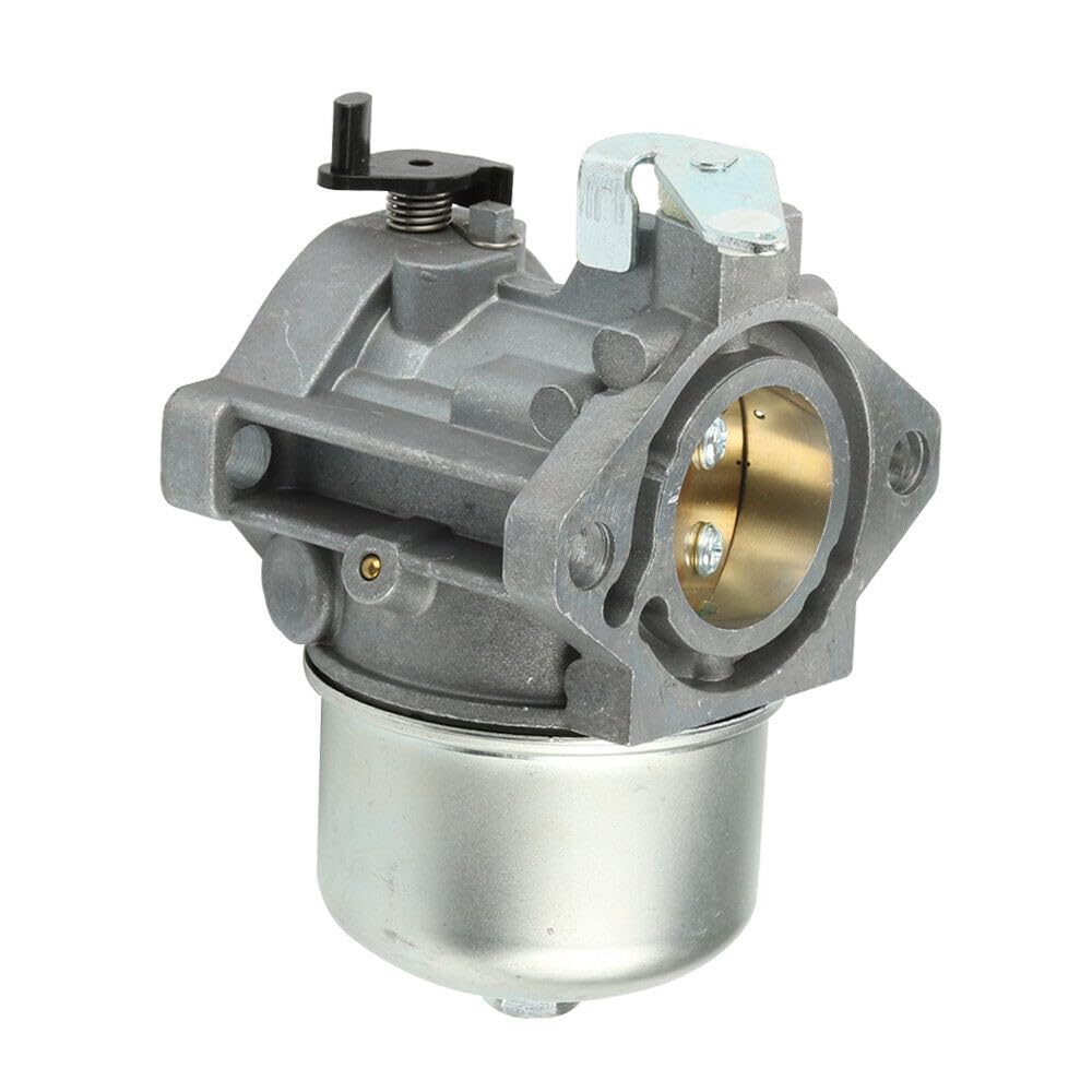Amazon.com : Carburetor For Briggs & Stratton 690117 196432 196437